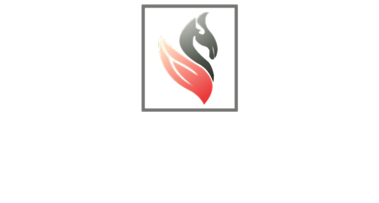 burakahsap